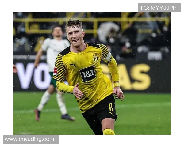 汉堡队迎接新赛季德甲阵容大调整，新秀崭露头角