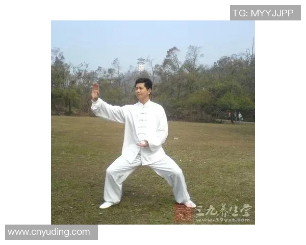 李德印42式太极拳全套详解与练习指南助你轻松掌握太极精髓 李德印42式太极拳全套详解与练习指南助你轻松掌握太极精髓