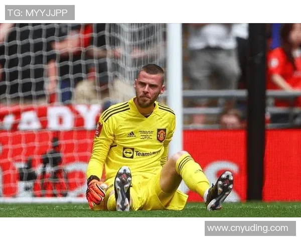 曼联官方确认签约热门新秀,引发球迷热议 曼联官方确认签约热门新秀,引发球迷热议